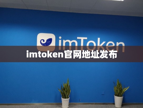 imtoken官网地址发布
