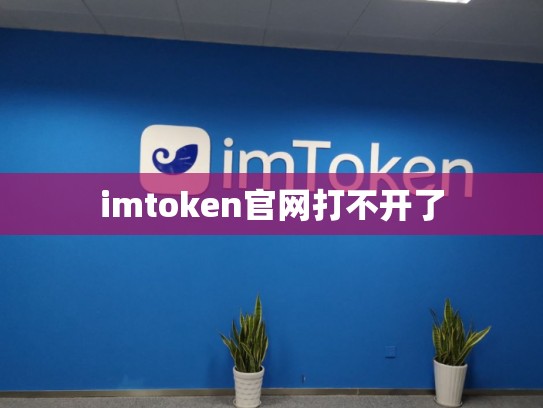 imtoken官网打不开了