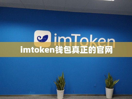 imtoken钱包真正的官网