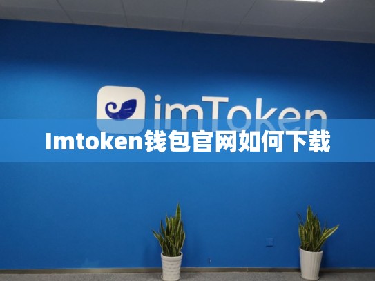 Imtoken钱包官网如何下载