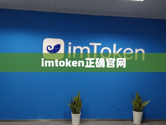 imtoken正确官网